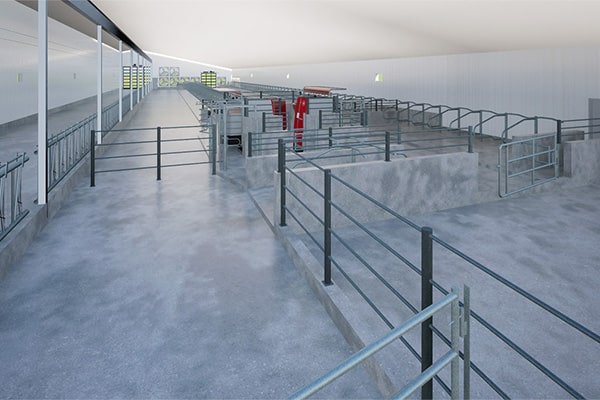 Dairy - Design and Build