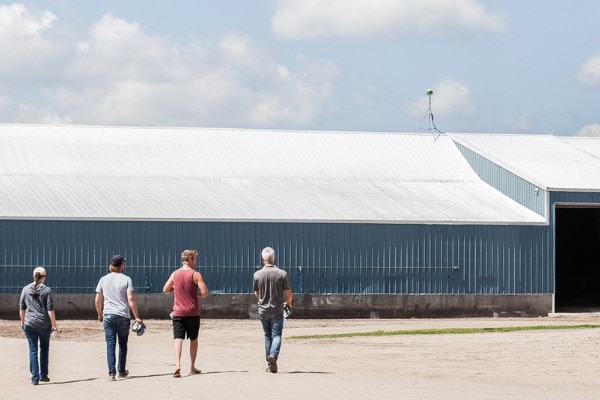 Dairy - Advisory Services
